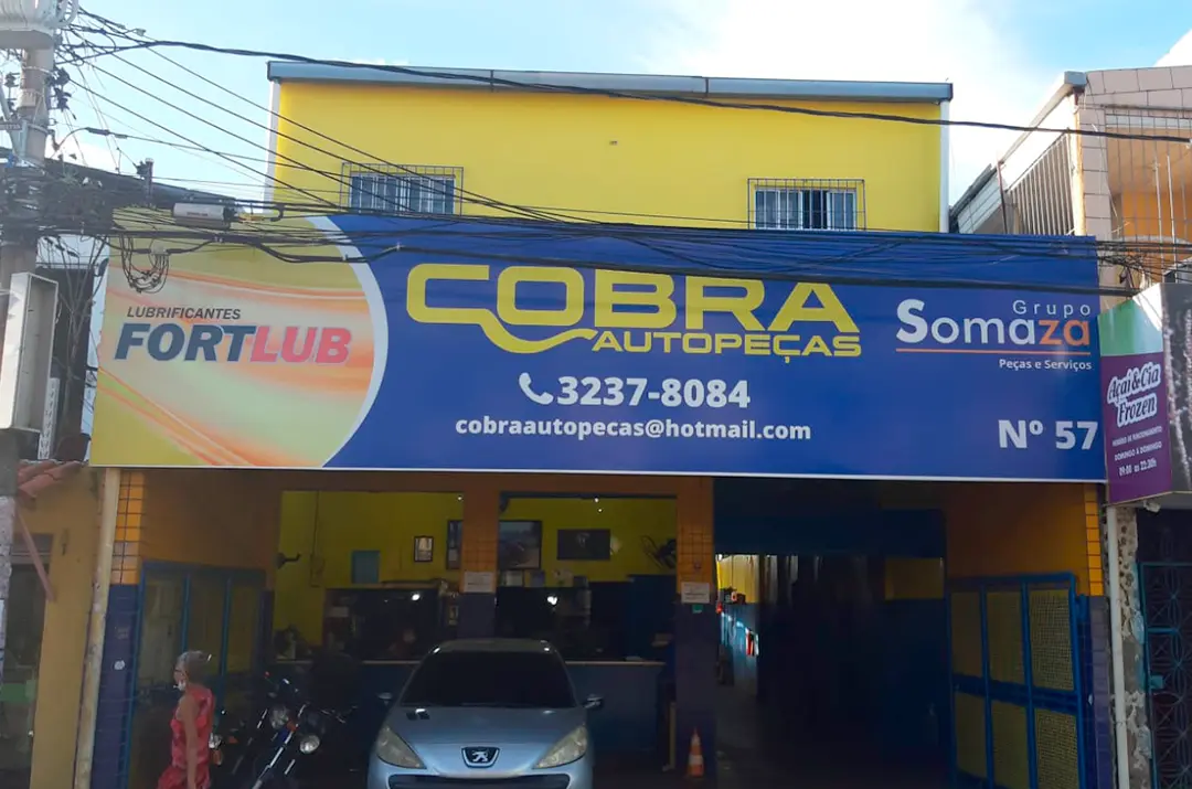 Cobra Auto Peças