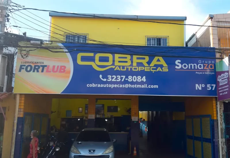 Cobra Auto Peças